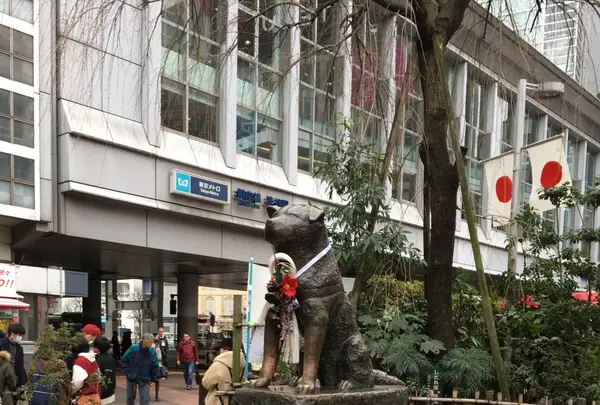 渋谷スクランブル交差点の写真・動画_image_110876