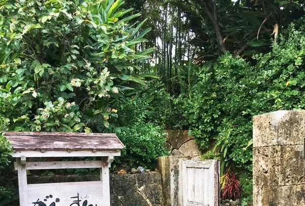 がらまんじゃくの写真・動画_image_110908