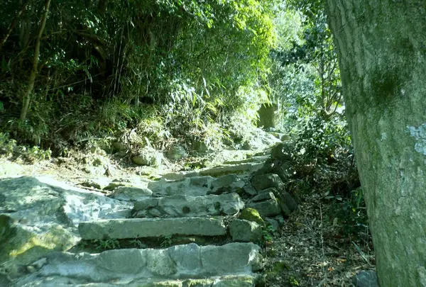 廣峯神社の写真・動画_image_111003