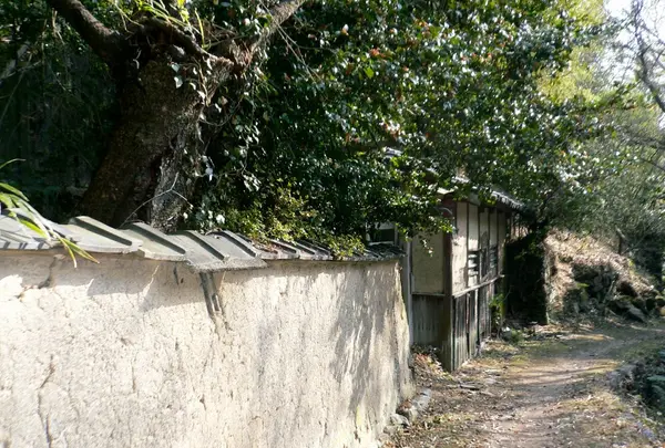廣峯神社の写真・動画_image_111006