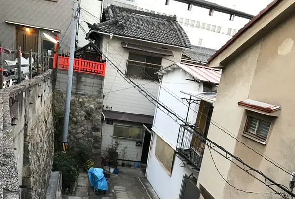 田島北ふれあい広場の写真・動画_image_111079