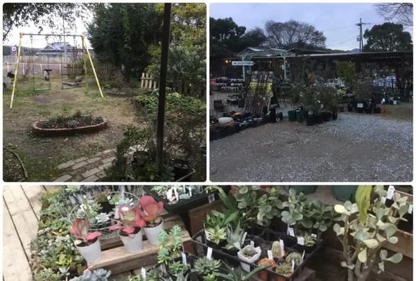 風雅舎の写真・動画_image_111096