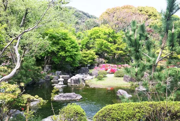 葉山しおさい公園の写真・動画_image_111134