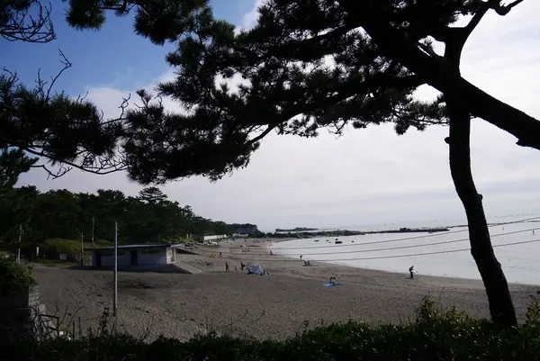 葉山しおさい公園の写真・動画_image_111135