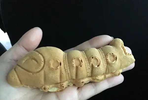 くらさん家の写真・動画_image_111297