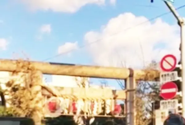 八剱八幡神社の写真・動画_image_111319