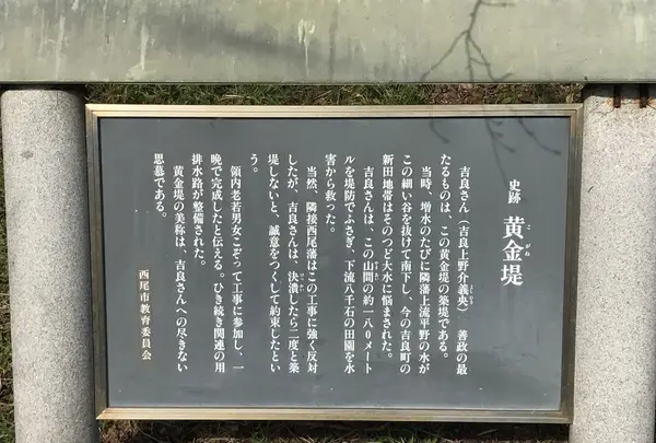 黄金堤の写真・動画_image_111417