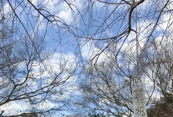 花岳寺の写真・動画_image_111432