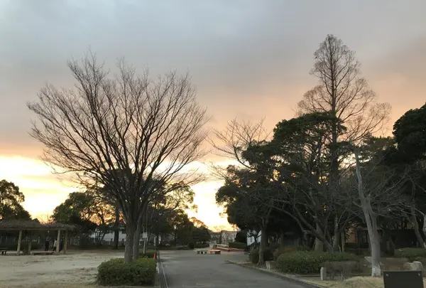 西尾市岩瀬文庫の写真・動画_image_111439