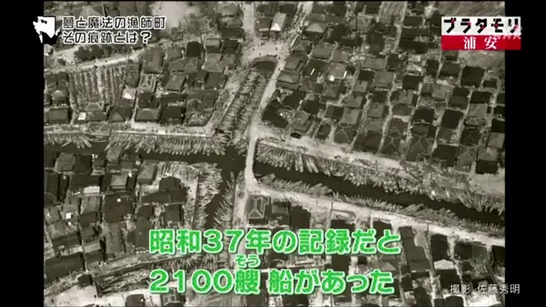 江川児童公園の写真・動画_image_111440