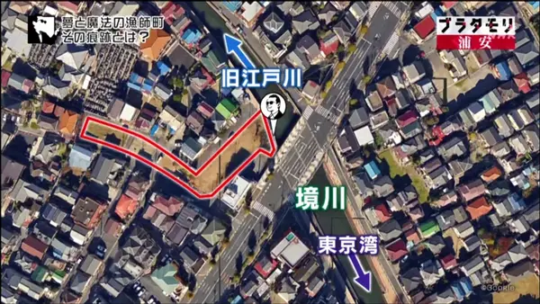 江川児童公園の写真・動画_image_111441