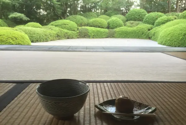 丈山苑の写真・動画_image_111450