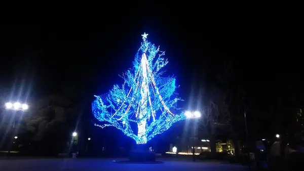 上野恩賜公園（上野公園）の写真・動画_image_111712