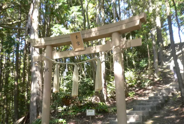 石上布都魂神社の写真・動画_image_112003