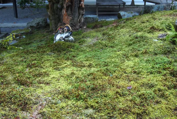 南禅寺の写真・動画_image_112015