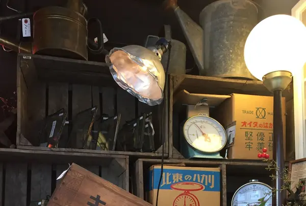 アンティークライフジンの写真・動画_image_112042