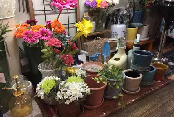 T-FOURの写真・動画_image_112046