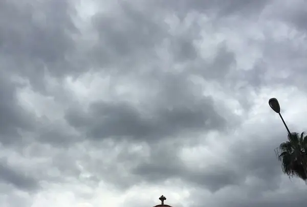 パレルモの写真・動画_image_112199