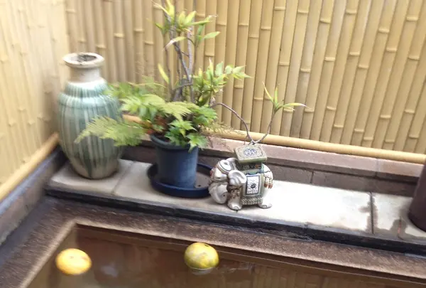 みゆき屋の写真・動画_image_112234