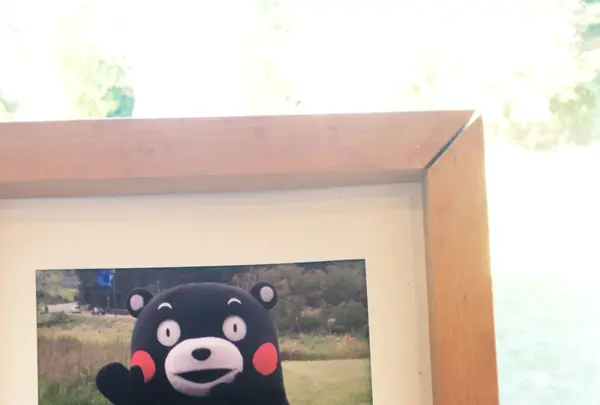 葉祥明阿蘇高原絵本美術館の写真・動画_image_112317