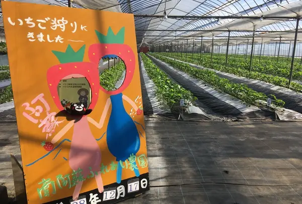 苺凛香 ばいりんかの写真・動画_image_112321