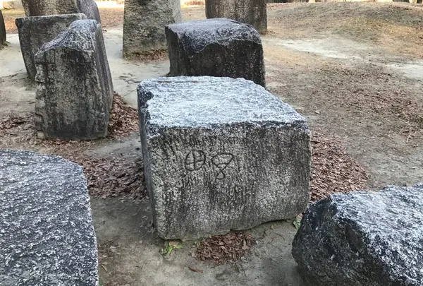 大阪城公園の写真・動画_image_112414