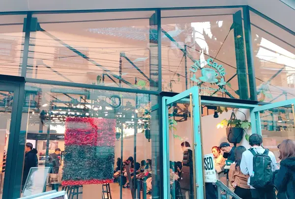 【閉業】Urth Caffe 表参道（アースカフェ）の写真・動画_image_112597