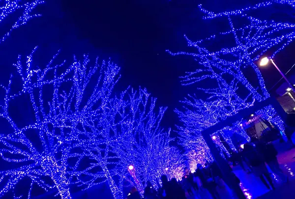 青の洞窟 SHIBUYAの写真・動画_image_112604