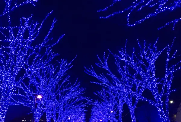 青の洞窟 SHIBUYAの写真・動画_image_112608