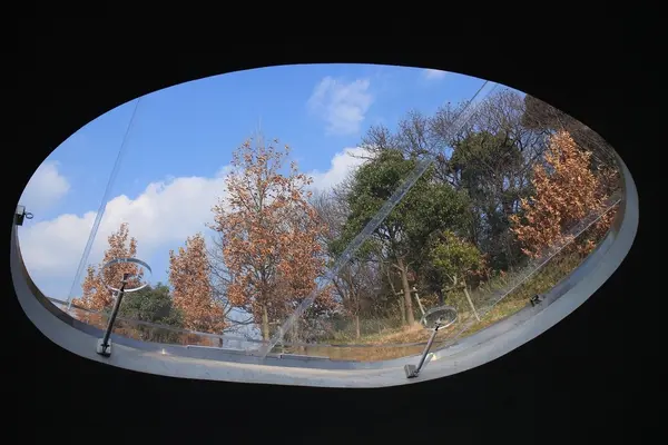 豊島美術館の写真・動画_image_112837