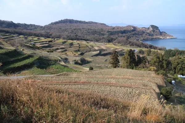 豊島の写真・動画_image_112844