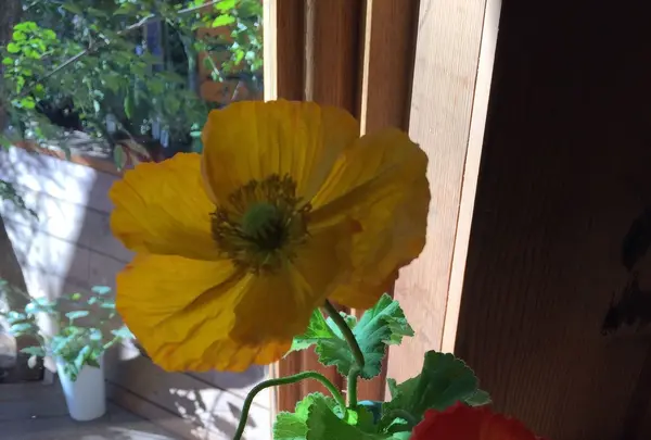 PADDLERS COFFEE（パドラーズコーヒー）西原本店の写真・動画_image_113015