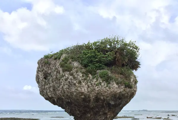 知念岬公園の写真・動画_image_113025