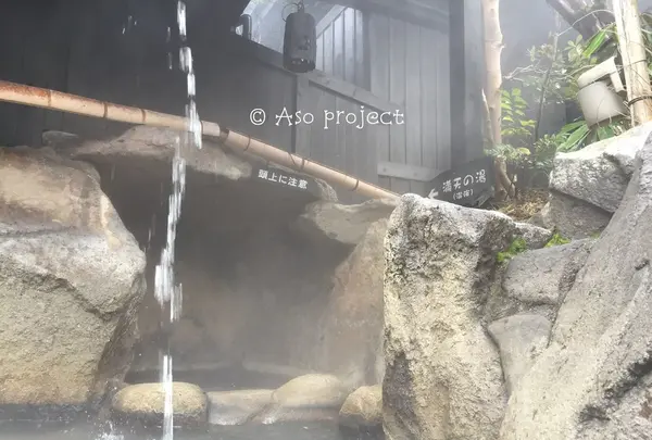 いやしの里 樹やしきの写真・動画_image_113049