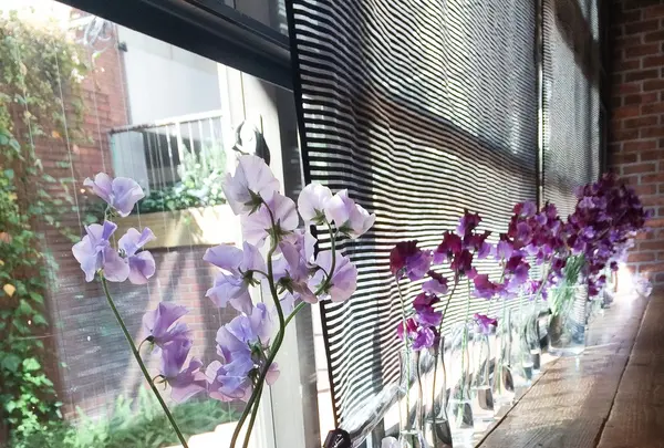 青山フラワーマーケット ティーハウス 南青山本店 （Aoyama Flower Market TEA HOUSE）の写真・動画_image_113063