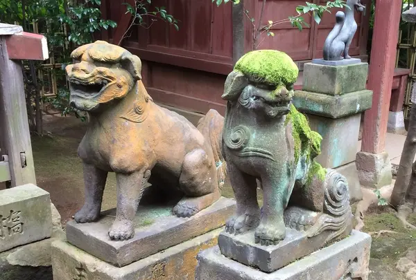 渋谷氷川神社の写真・動画_image_113180