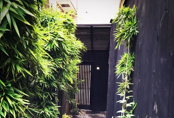 神山 （カミヤマ【旧店名】清山）の写真・動画_image_113253