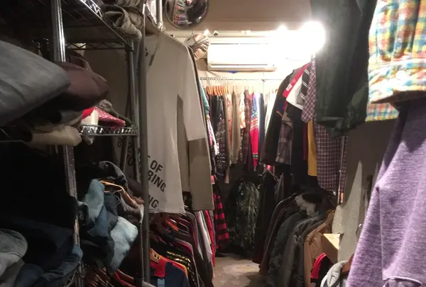 パセリの写真・動画_image_113312