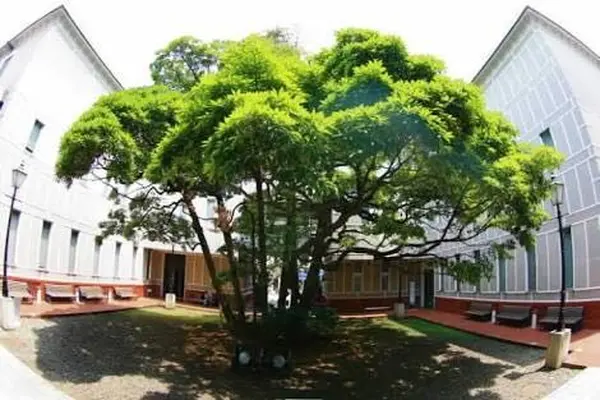 横浜開港資料館の写真・動画_image_113500