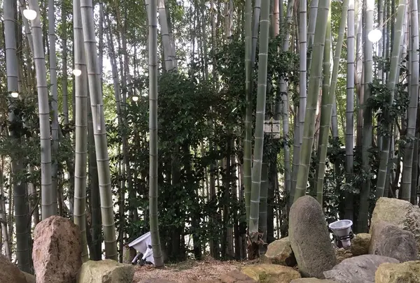 八間蔵 神戸店の写真・動画_image_113615