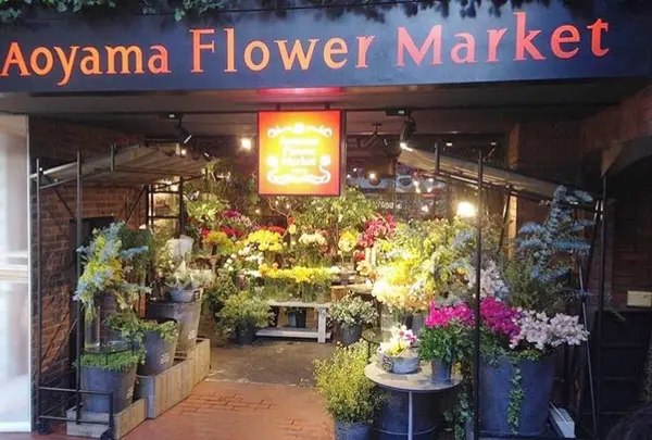 青山フラワーマーケット ティーハウス 南青山本店 （Aoyama Flower Market TEA HOUSE）の写真・動画_image_113709