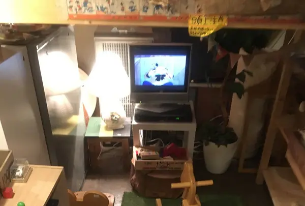 フラワーファクトリーカネキ 戸越店の写真・動画_image_113790