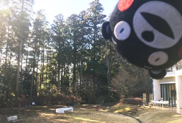 阿蘇白水郷美術館の写真・動画_image_113806