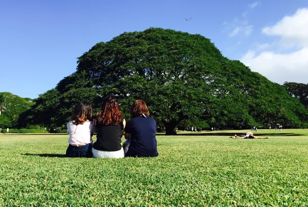 モアナルア・ガーデンズの写真・動画_image_113872