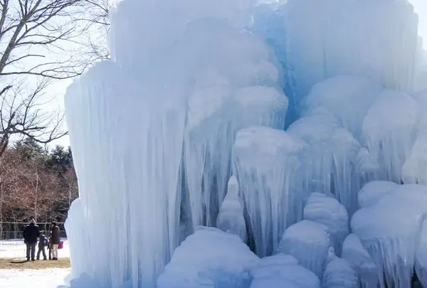 西湖野鳥の森公園の写真・動画_image_113908