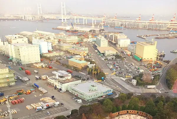 横浜マリンタワーの写真・動画_image_113951