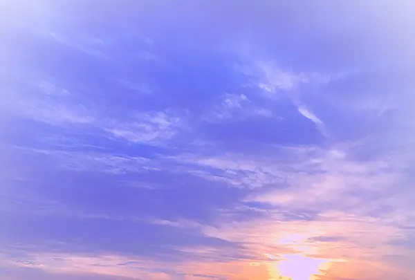 横浜マリンタワーの写真・動画_image_113953