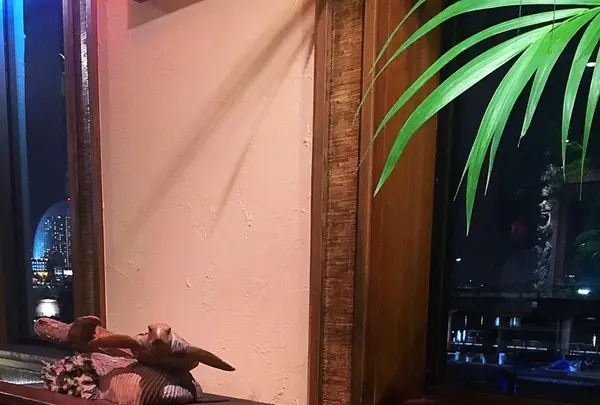サンアロハ みなとみらい本店の写真・動画_image_113975