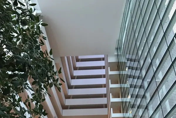 Spagoの写真・動画_image_114047