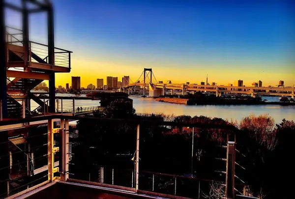 レインボーブリッジの写真・動画_image_114058